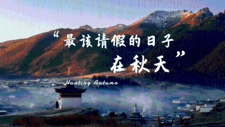 辛巴直播大力推崇预制菜,直言让孩子多吃点